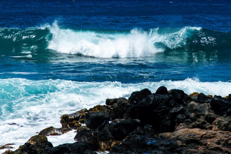 25 Years, a Quarter Century, and a Return to Paradise (With a Limp and a Camera)