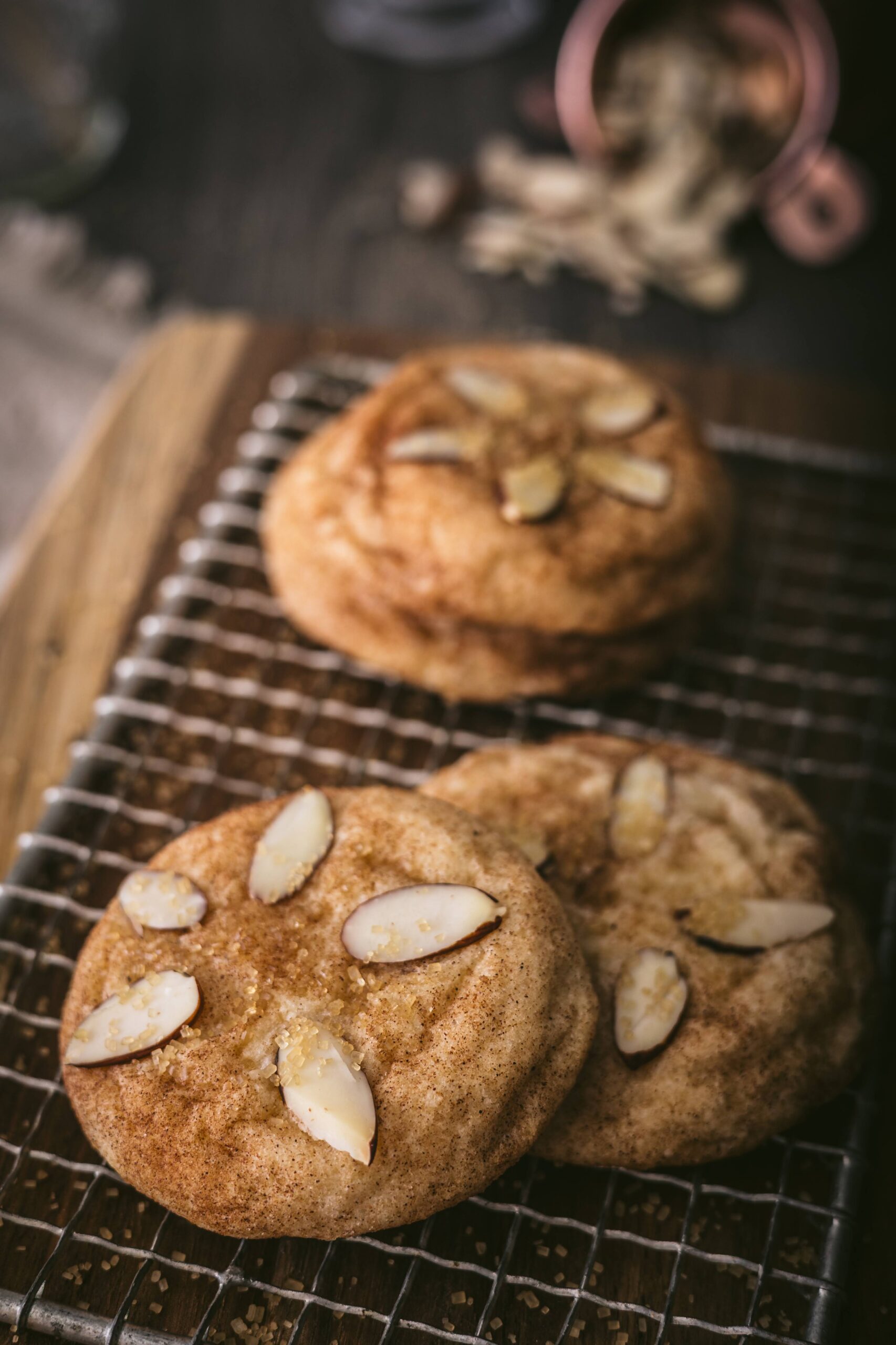 Snickerdoodle Sand Dollar Cookies: The Hawaiian Beach Vibes You Didn't Know You Needed Snickerdoodle Sand Dollar Cookies: The Hawaiian Beach Vibes You Didn't Know You Needed