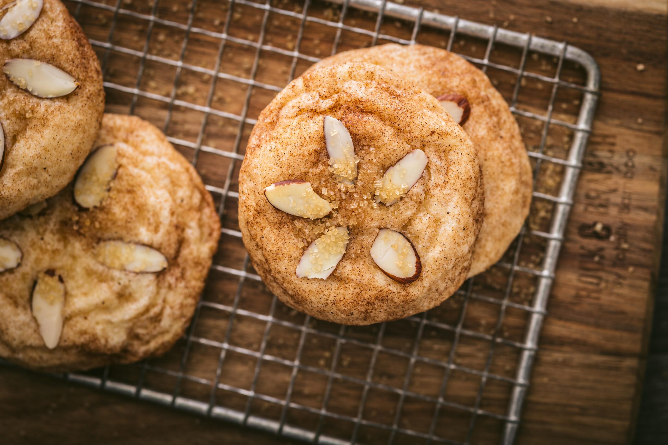 Snickerdoodle Sand Dollar Cookies: The Hawaiian Beach Vibes You Didn't Know You Needed Snickerdoodle Sand Dollar Cookies: The Hawaiian Beach Vibes You Didn't Know You Needed